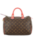 Totem Speedy 30, back view